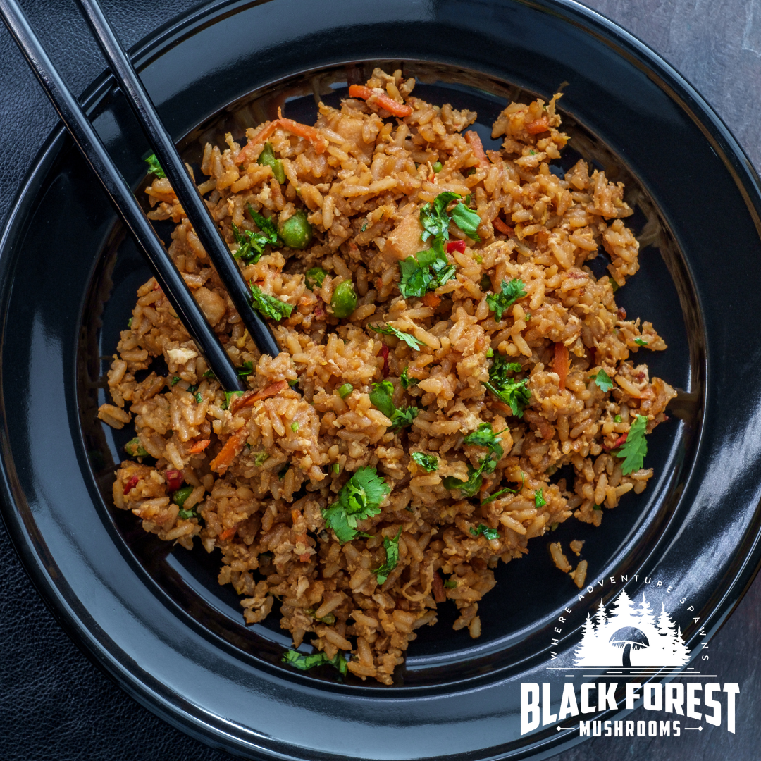 Blue Oyster Mushroom Jerky Fried Rice