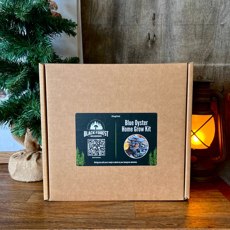 Blue Oyster Mushroom Grow Kit packaging
