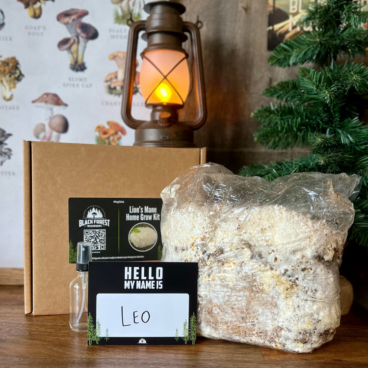 Lion's Mane grow kit with box and name tag 'Leo'