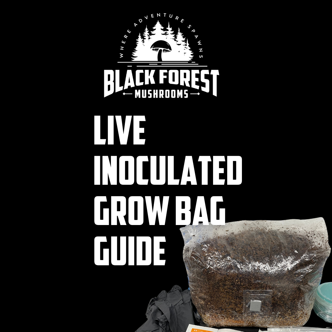 Northwest Flower & Garden Festival Live Inoculated All-in-One Grow Bag Guide