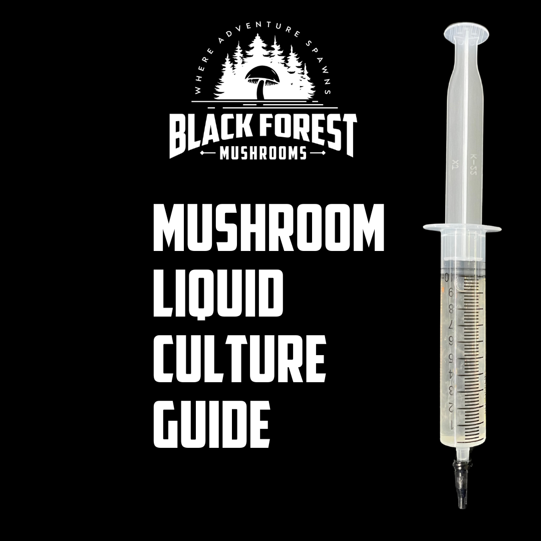 Gourmet Mushroom Growing Guide: How to Use Liquid Culture