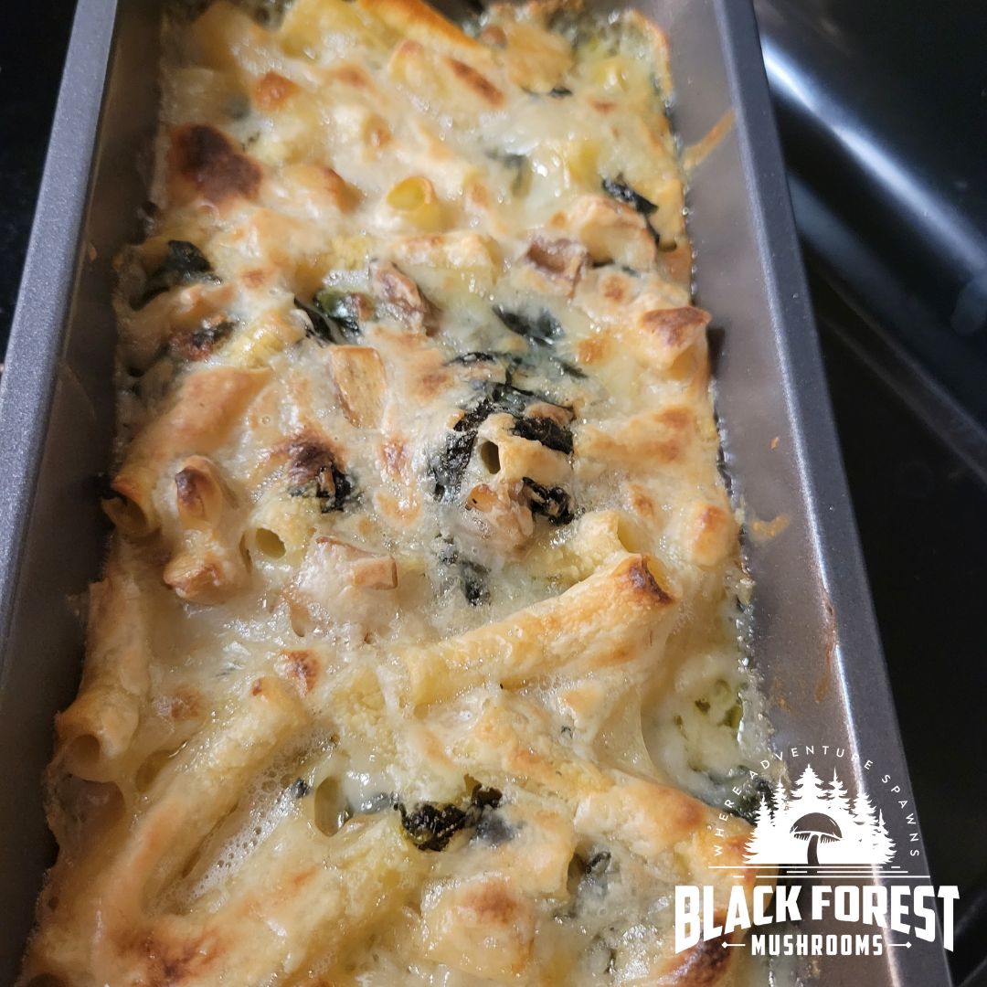 Cheesy Mushroom Baked Pasta