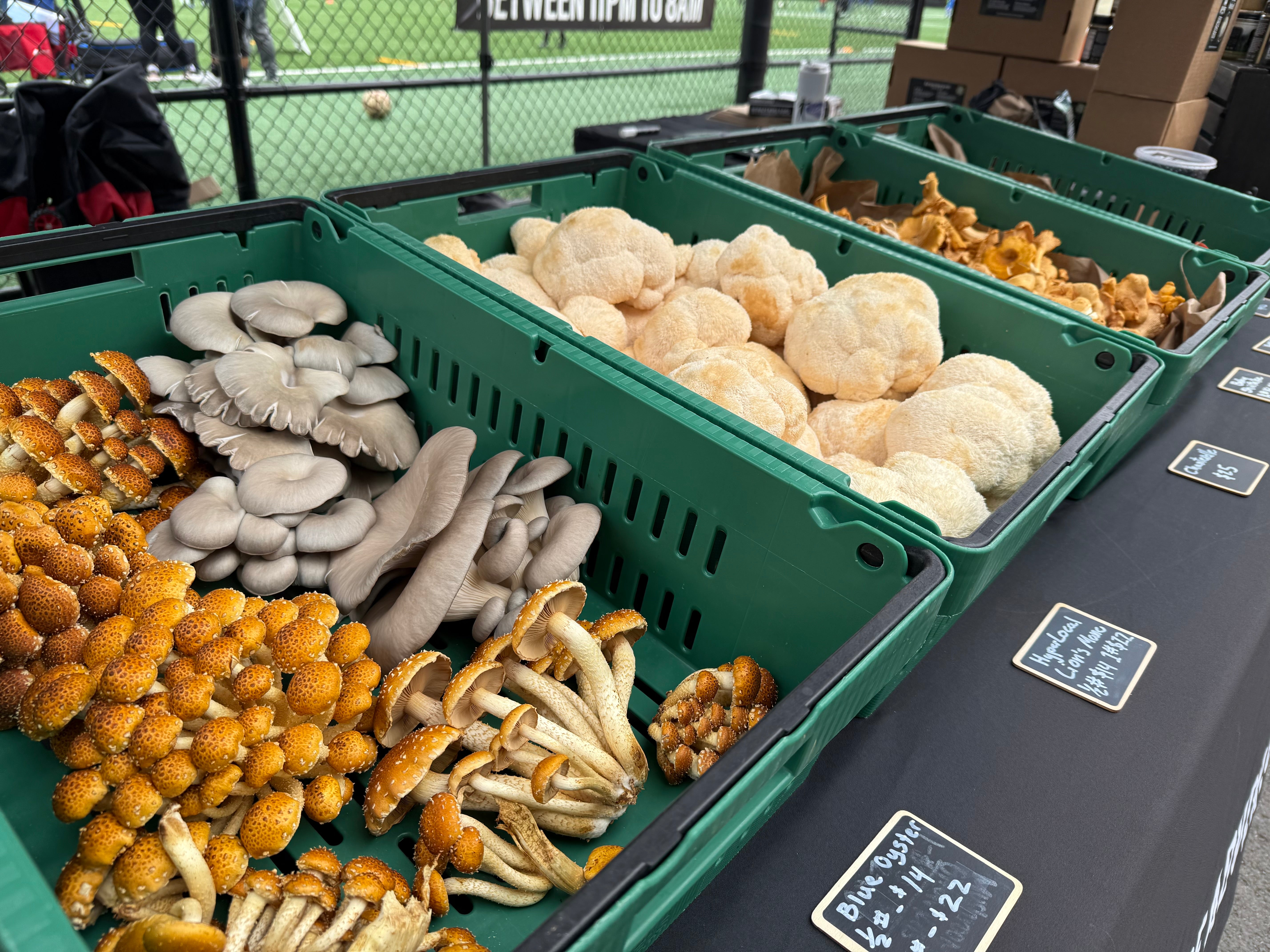 Fresh Gourmet Mushrooms