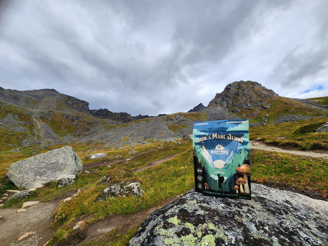 Lion's Mane Jerky package in mountainous outdoor setting.