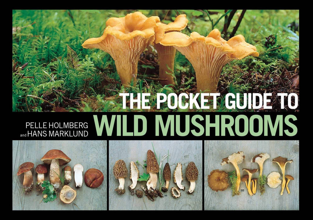 Wild Mushroom Pocket Guide