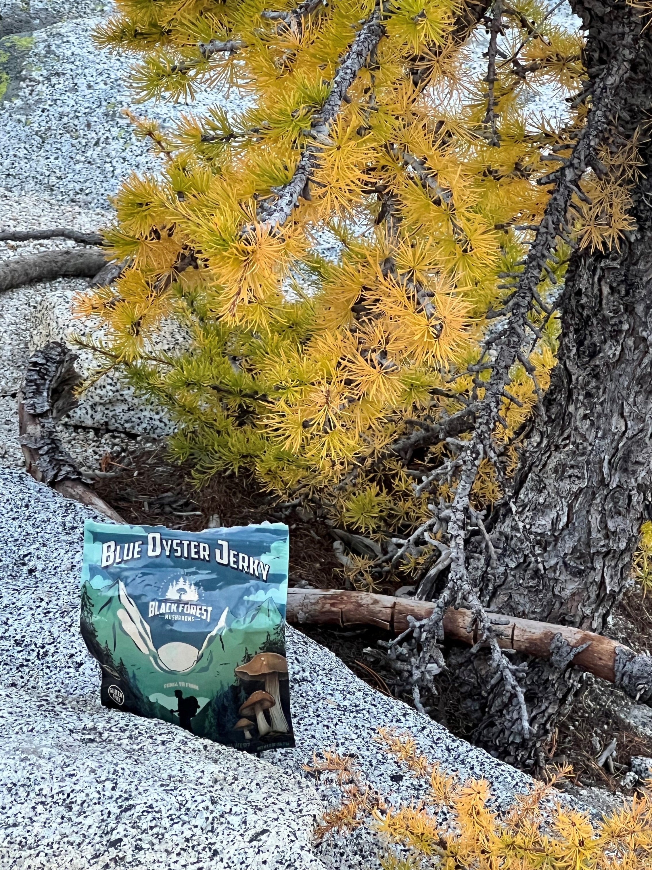 Blue Oyster Mushroom Jerky package outdoors near tree