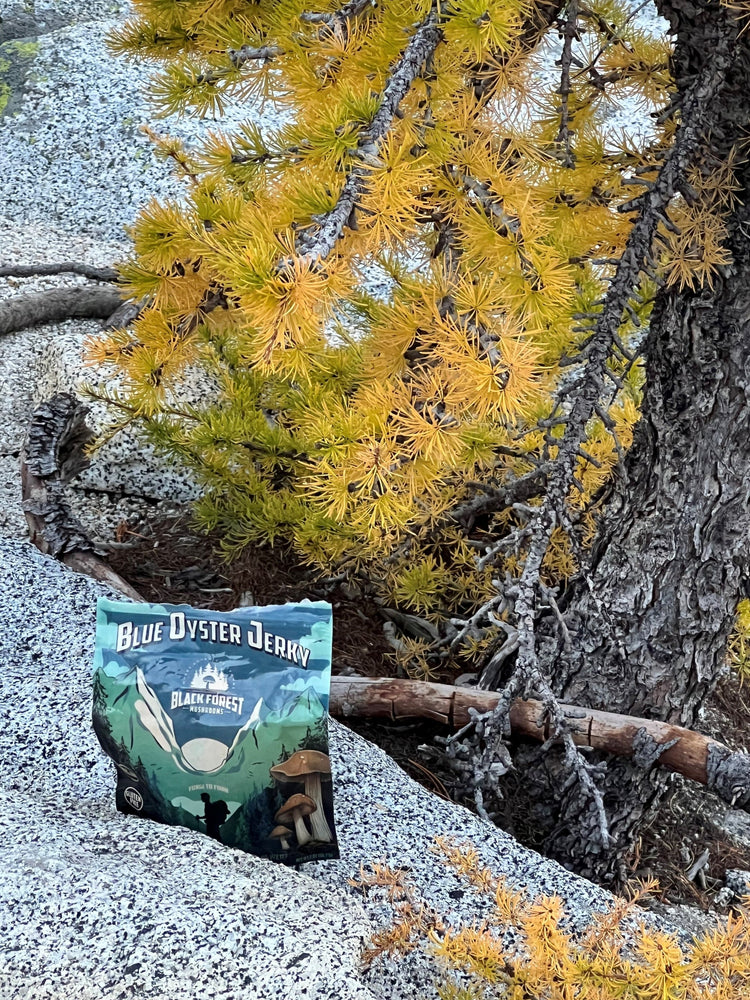 Blue Oyster Mushroom Jerky package outdoors near tree