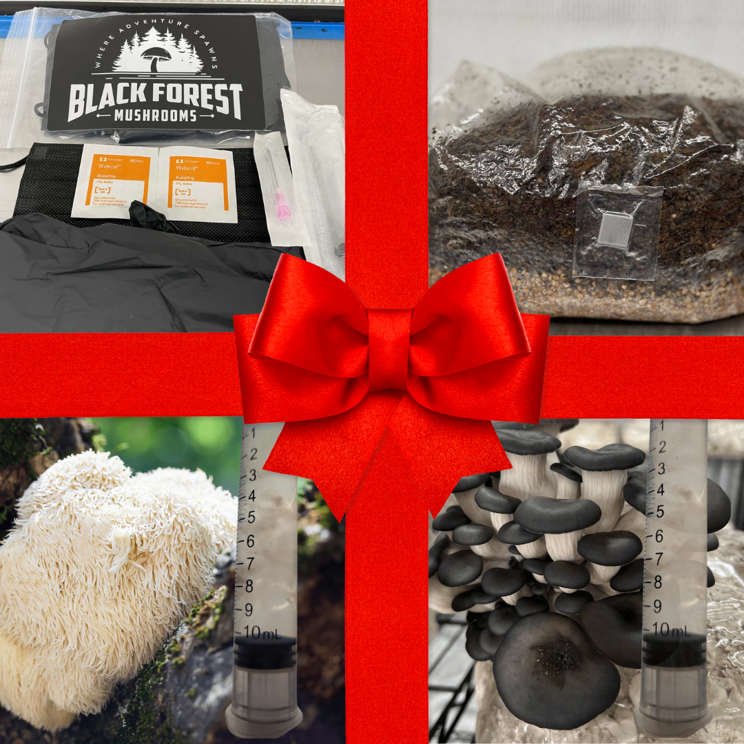 Forest Cultivator's Gift Set