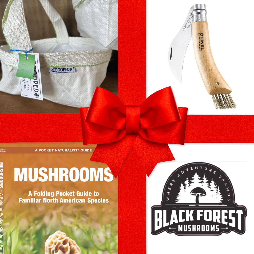 Forest Explorer's Gift Set