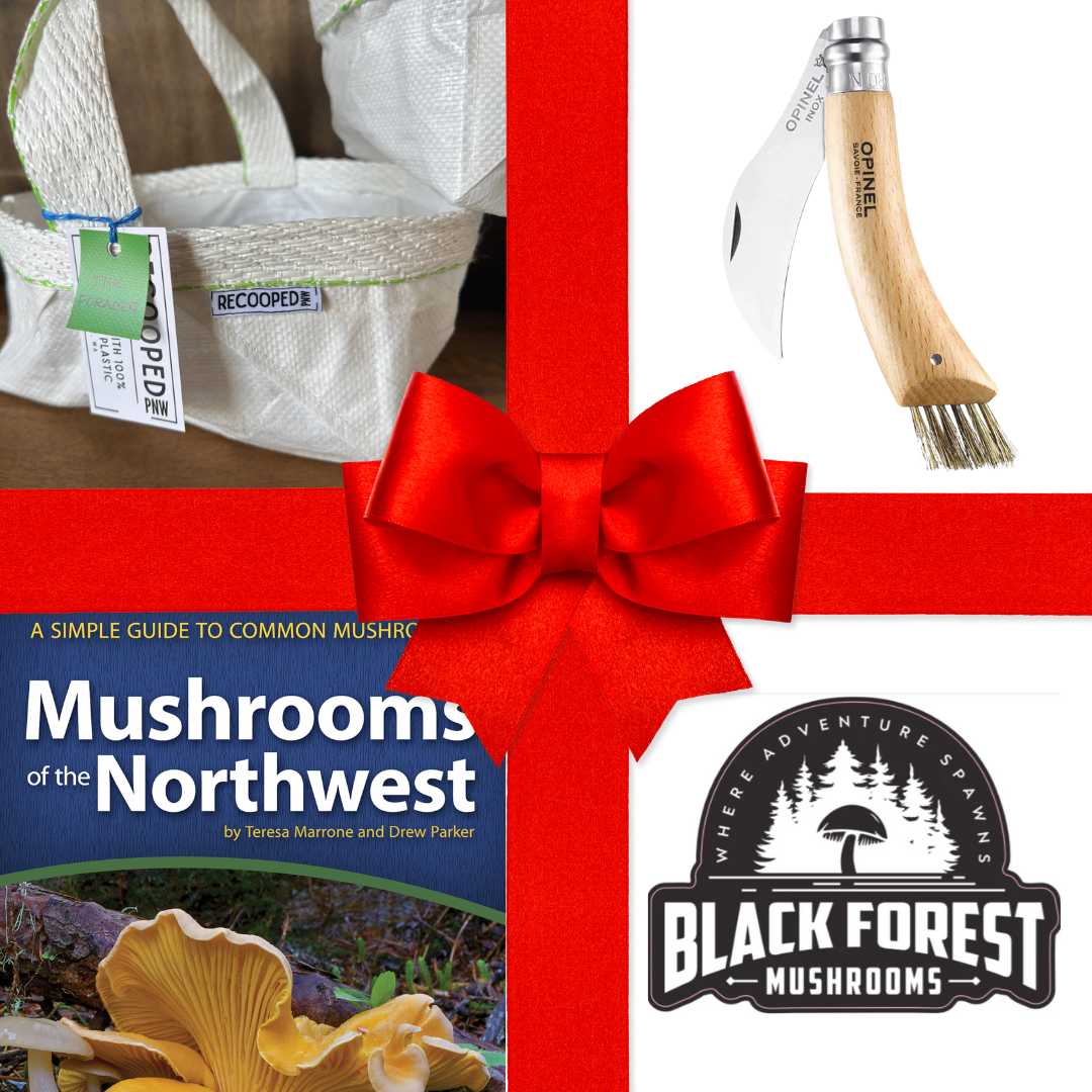 Forest Explorer's Gift Set