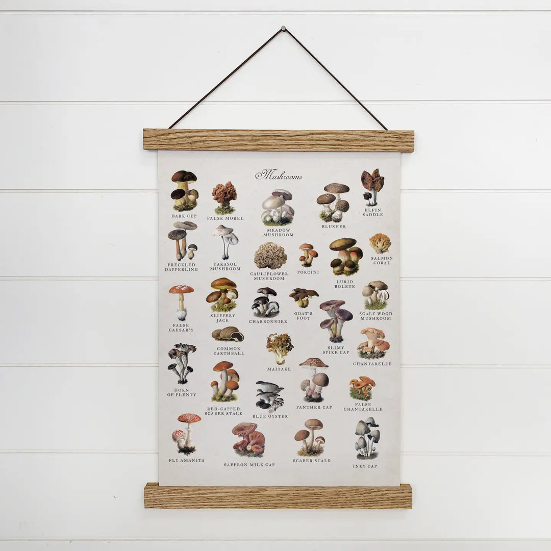 Mushroom Chart Poster With Wood Frame