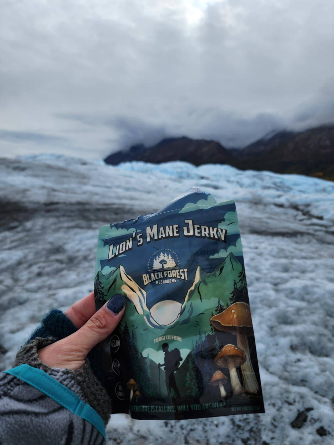 Hand holding Lion's Mane Jerky package in icy landscape.