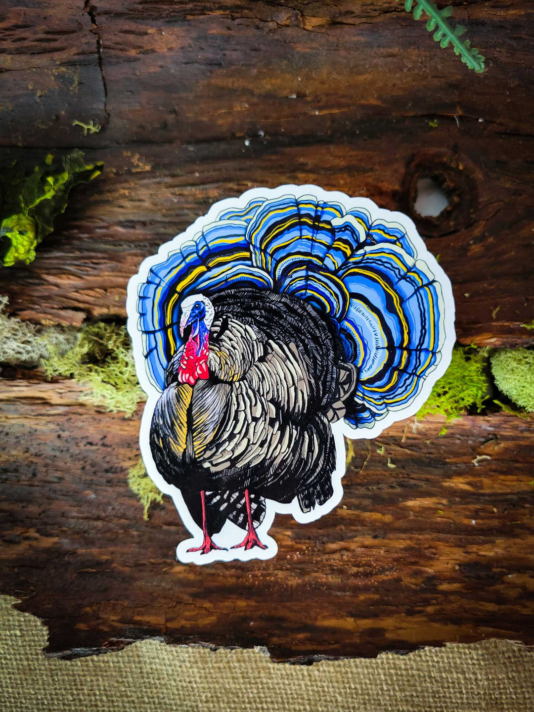 Turkey Tail | Funny Mushroom Sticker: Holographic Laminate