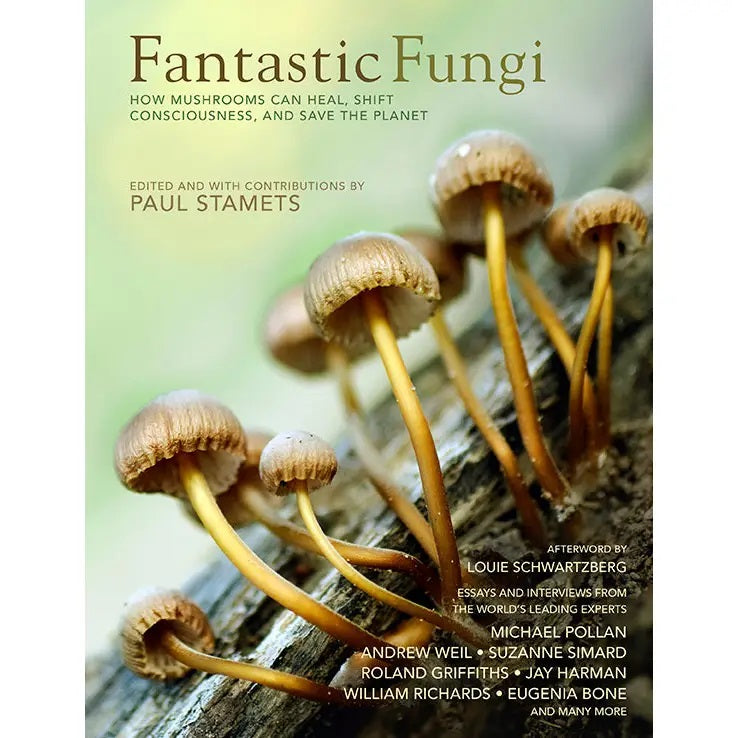 Fantastic Fungi: A Journey into the World of Mushrooms