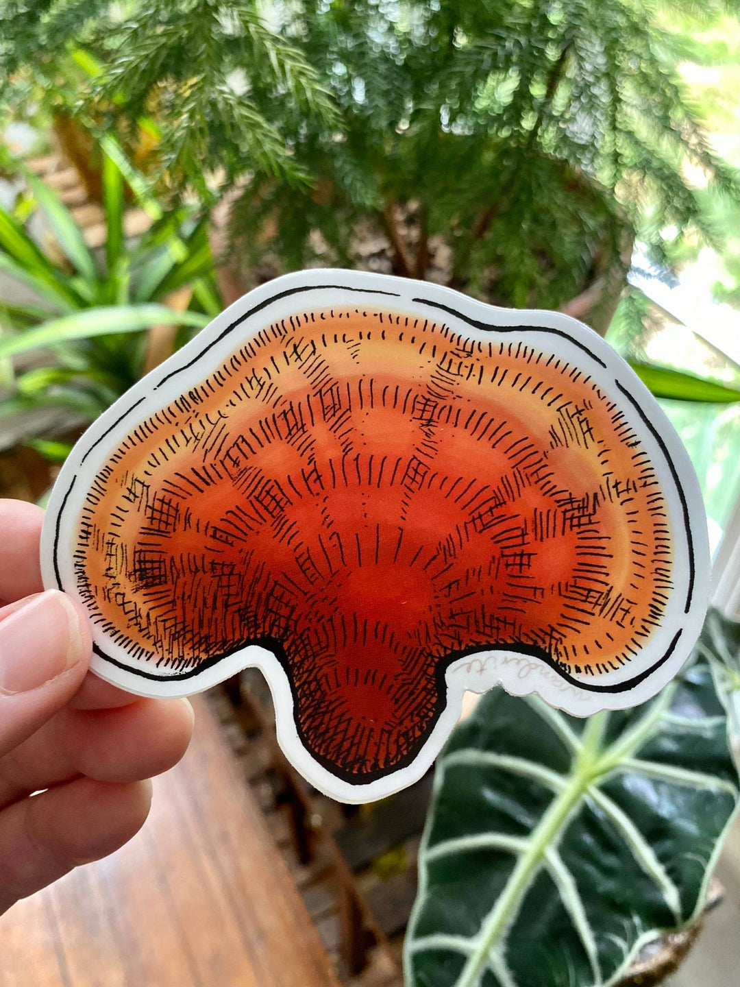 Reishi Mushroom Sticker