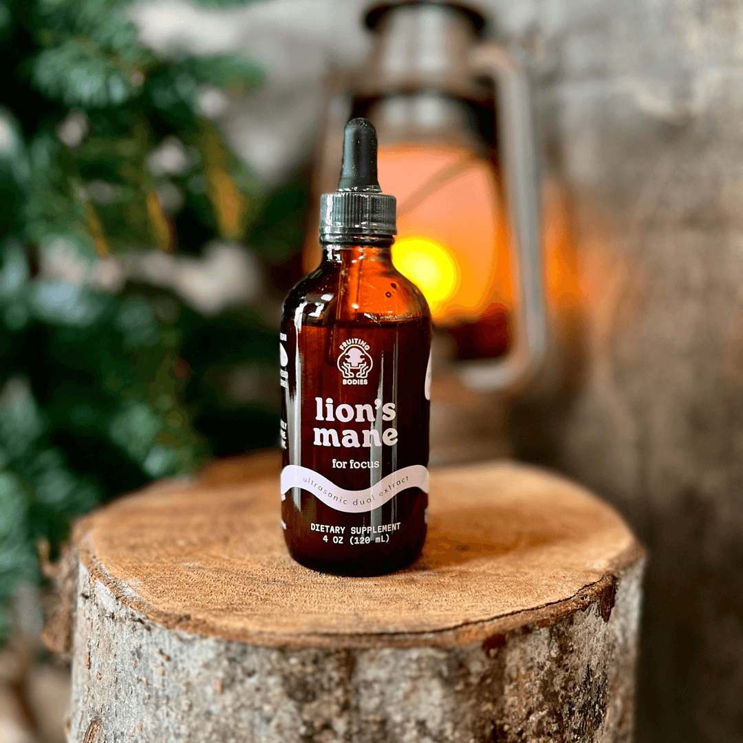 Lion's Mane Dual Extract Tincture