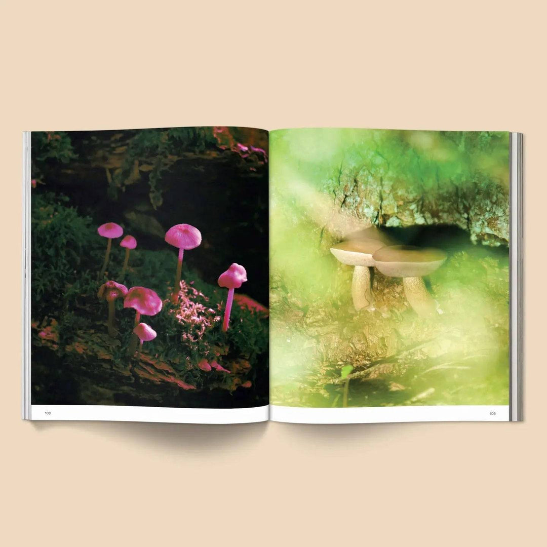 Spores | Magical Mushroom Photography Book