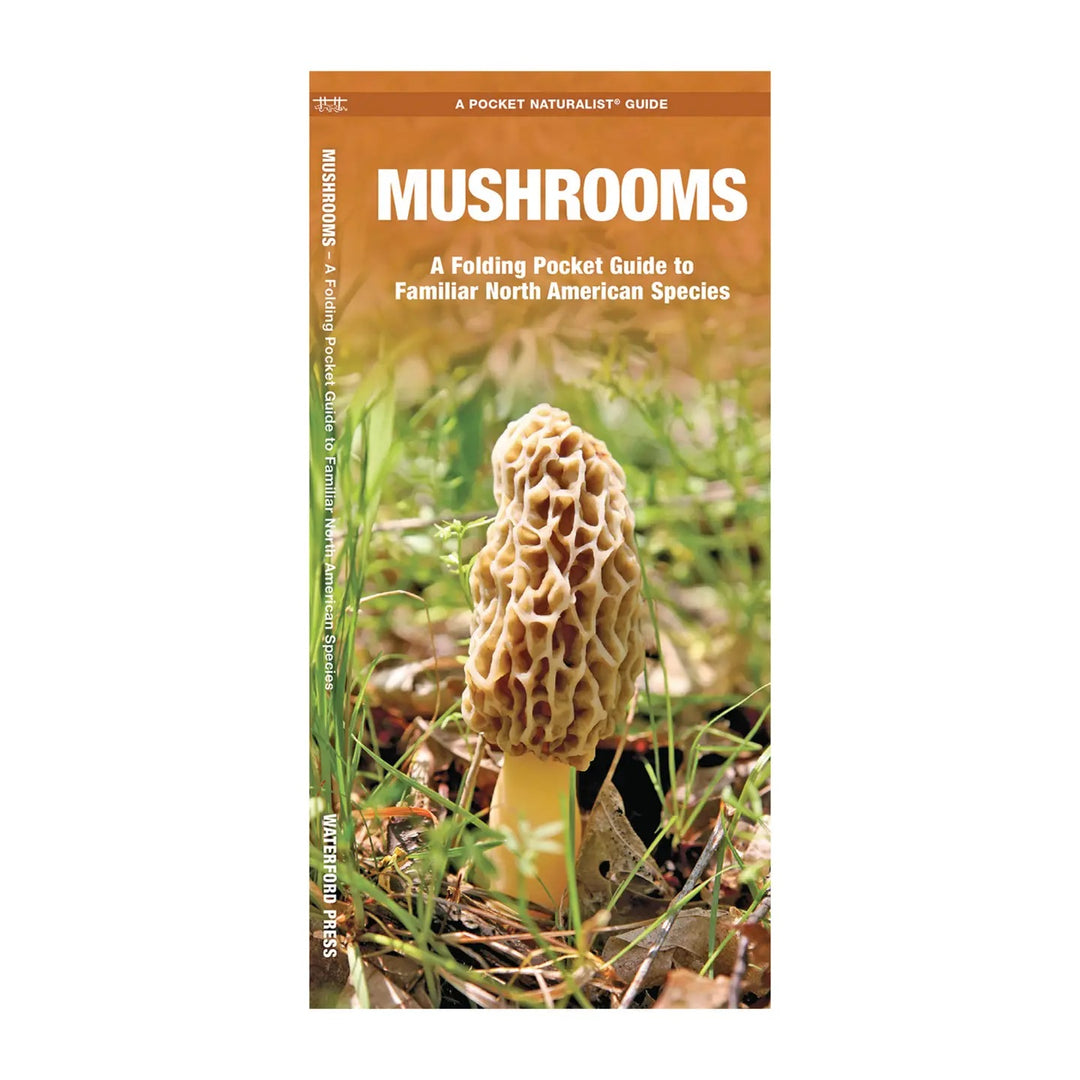 Mushrooms Folding Pocket Guide