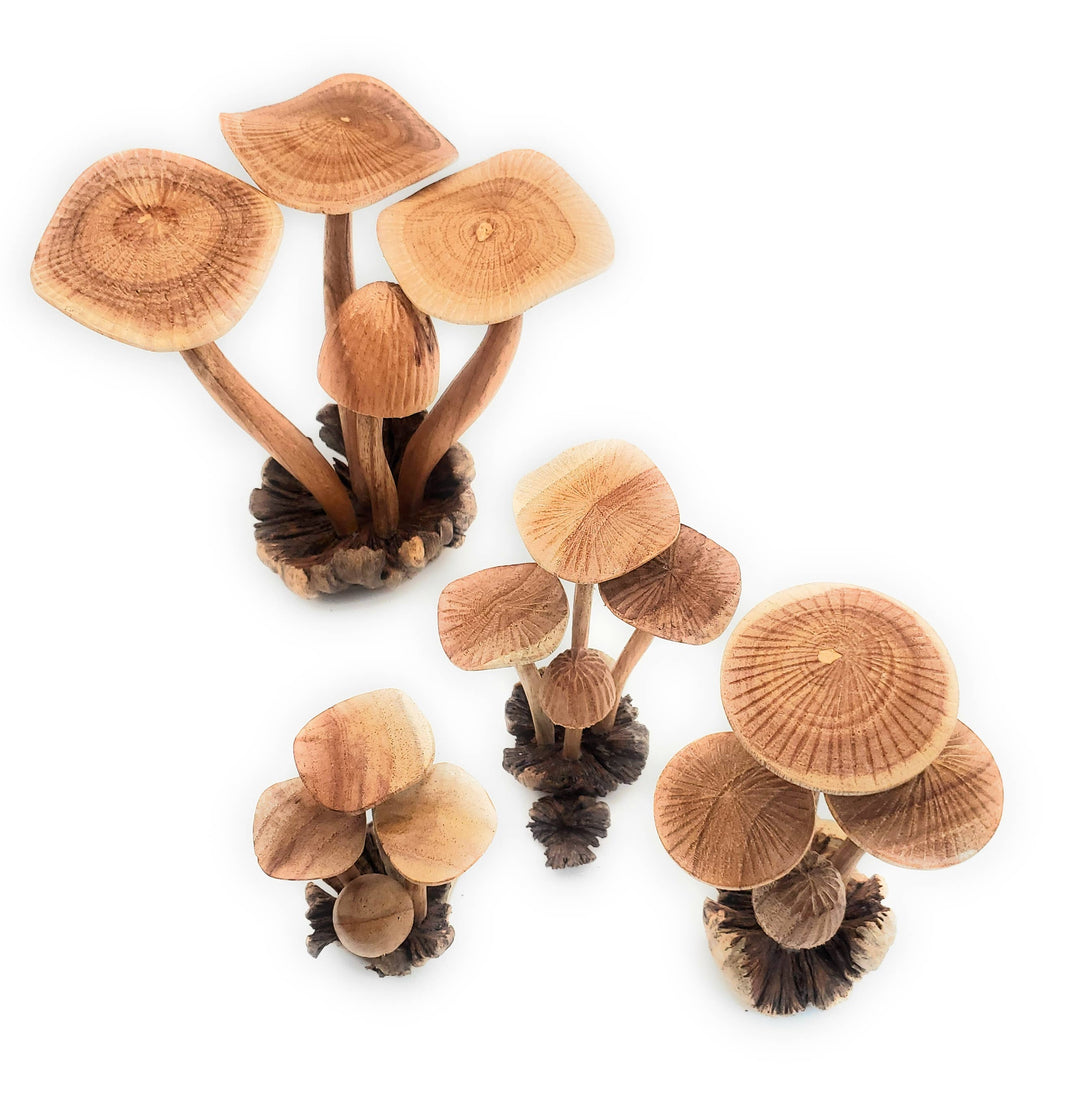 Hand Carved Extra Large Wooden Magical Mushroom