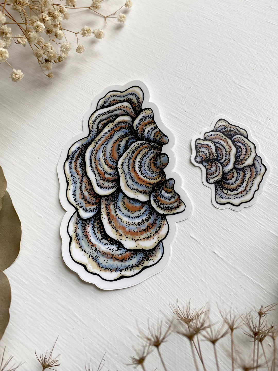 Turkey Tail Mushroom Sticker