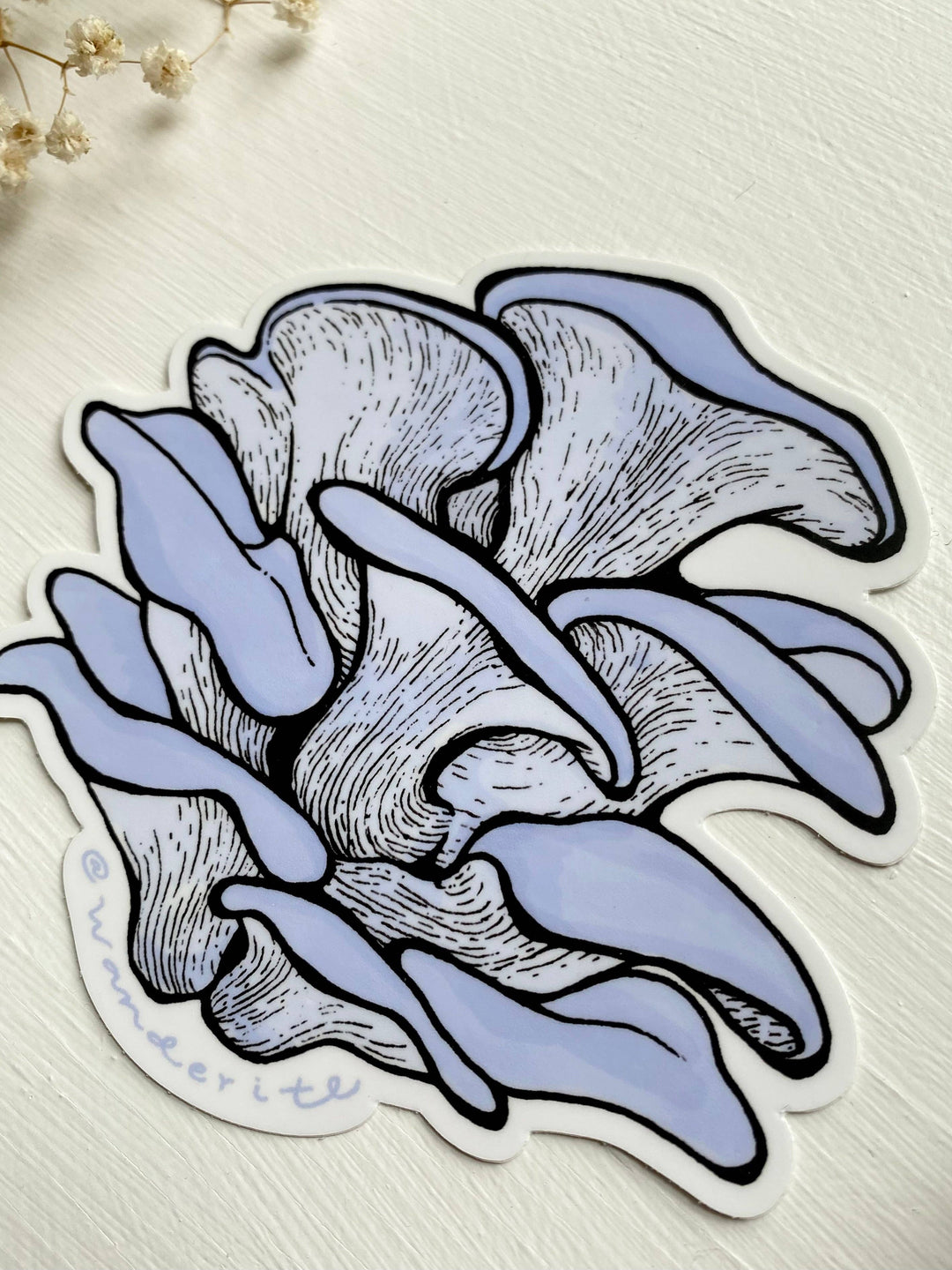 Blue Oyster Mushroom Sticker