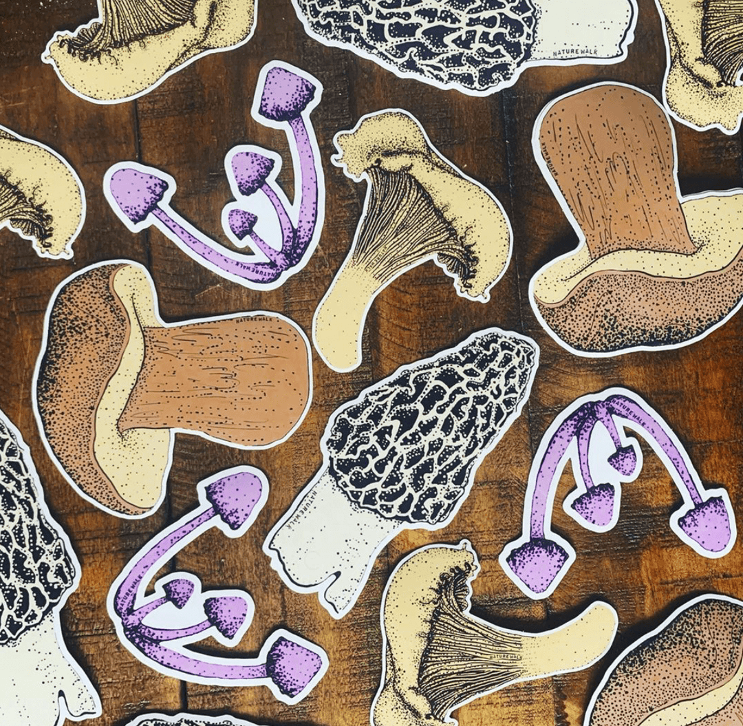 Bolete Mushroom Decal: Not Packaged