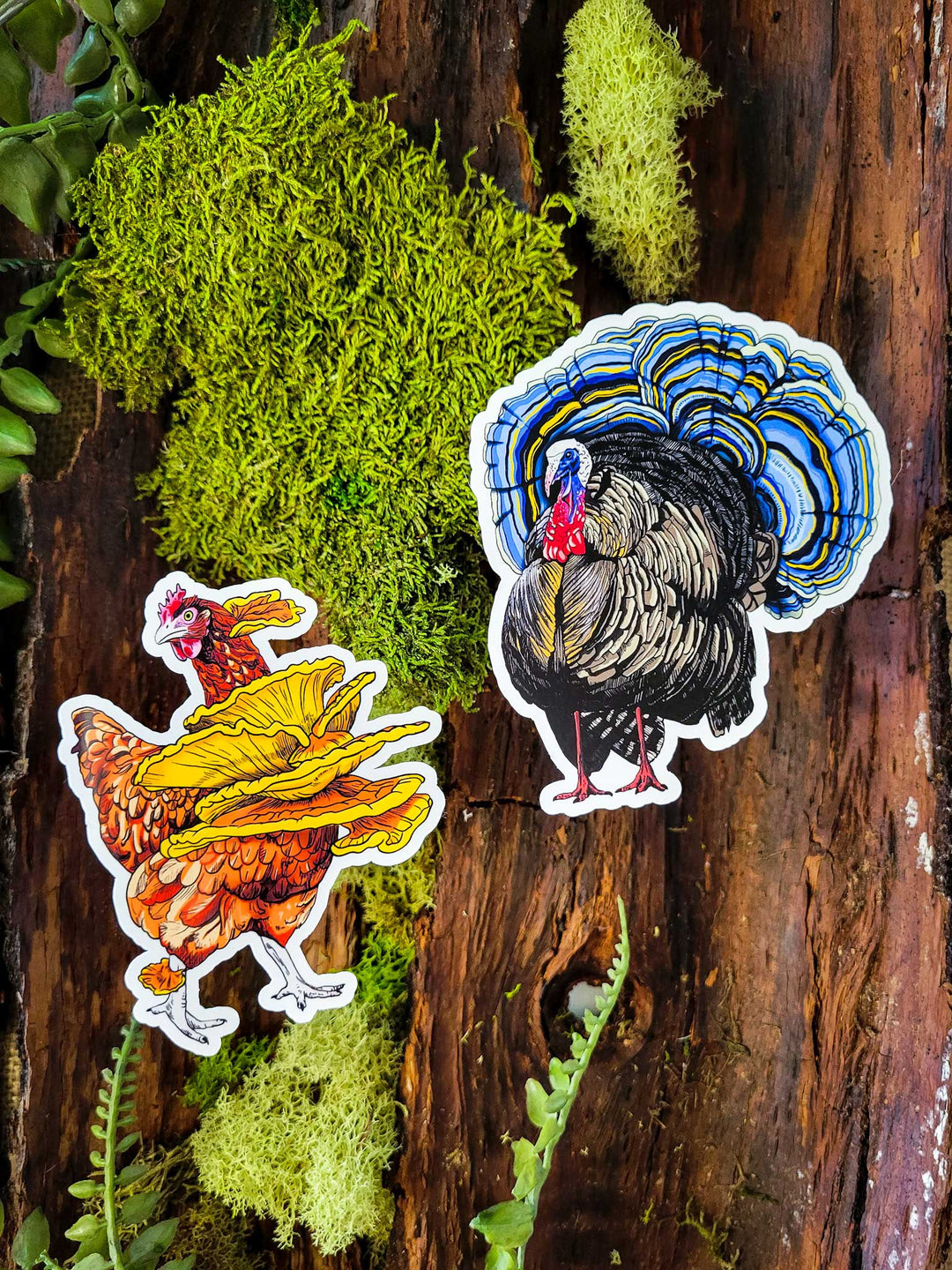 Turkey Tail | Funny Mushroom Sticker: Holographic Laminate