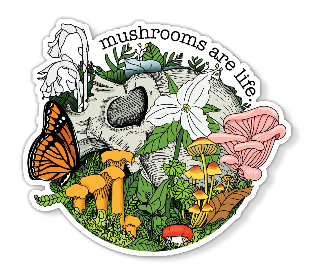 Mushrooms Are Life Sticker | Human Skull w/Flowers+Mushrooms: Clear Laminate