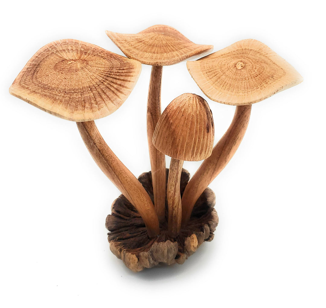 Hand Carved Extra Large Wooden Magical Mushroom