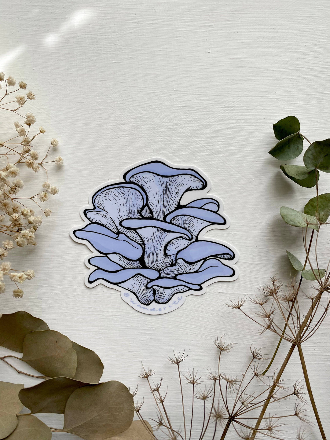 Blue Oyster Mushroom Sticker