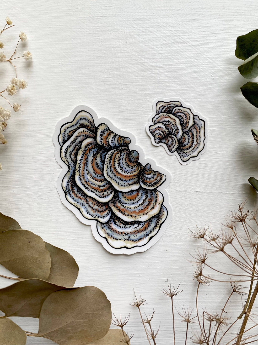 Turkey Tail Mushroom Sticker