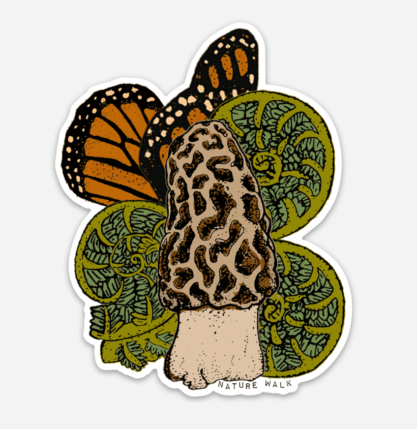 Morel Mushroom Fiddlehead Fern Monarch Wing Waterproof Decal: Not  Packaged