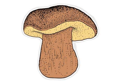 Bolete Mushroom Decal: Not Packaged