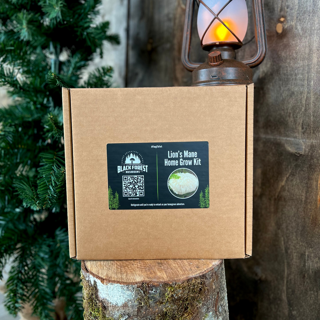 Lion's Mane Home Grow Kit box on tree stump