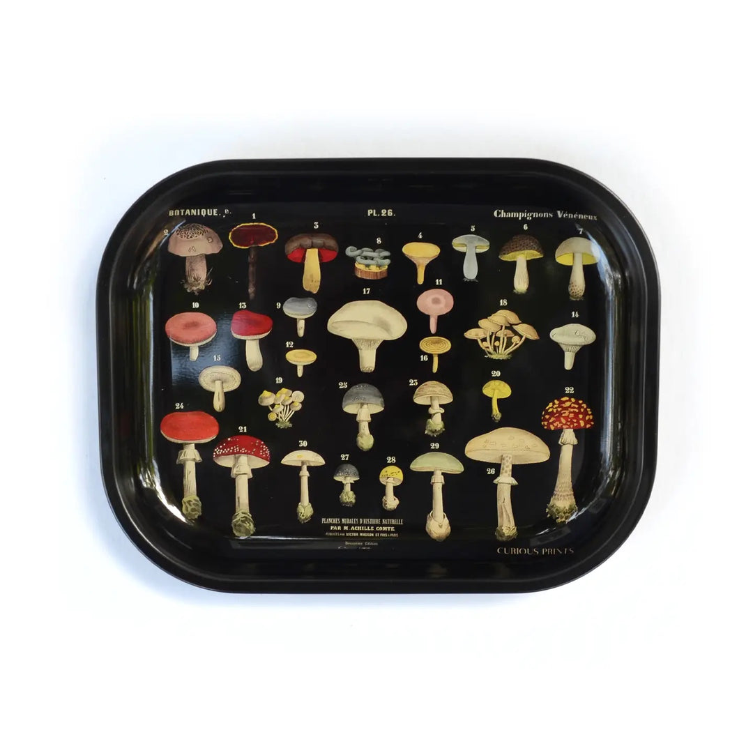 Vintage Mushroom Tray