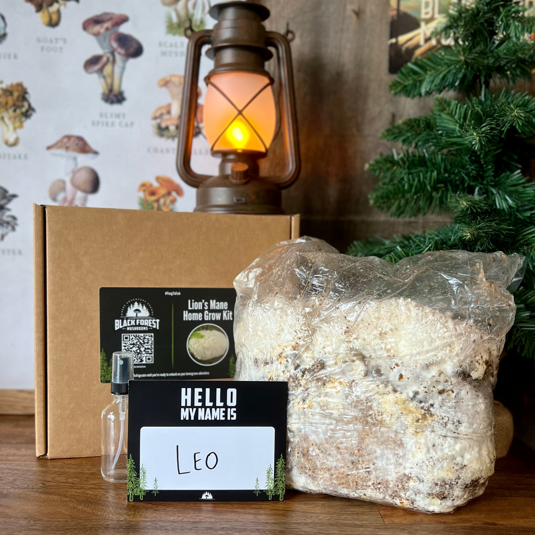 Lion's Mane grow kit with box and name tag 'Leo'