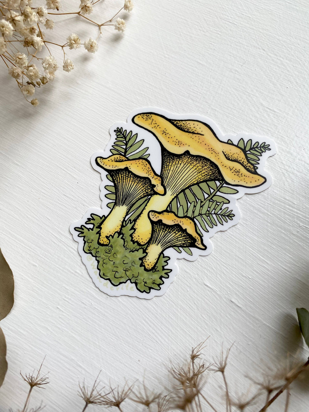 Chanterelle Mushroom Sticker