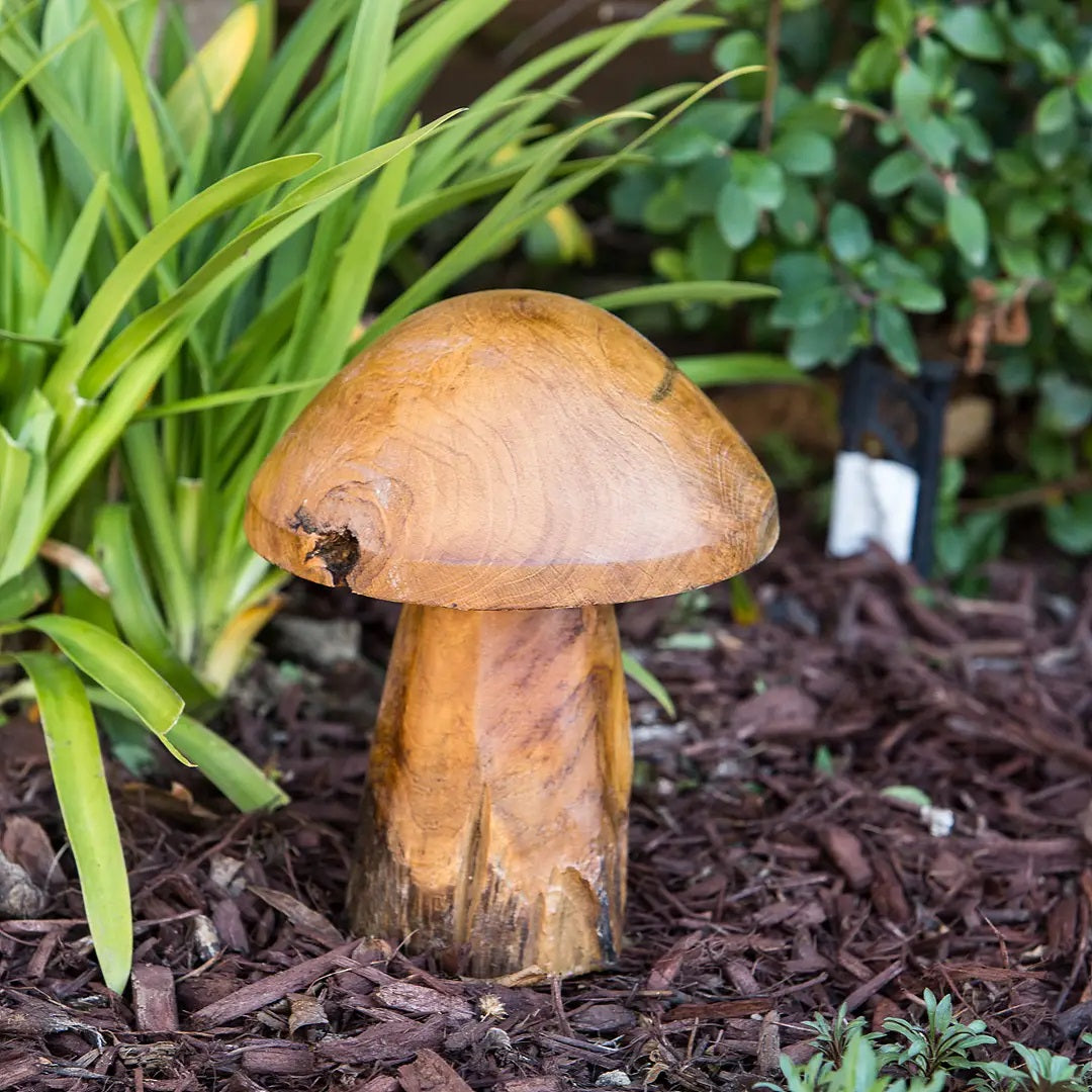 Teak Root 10" Mushroom