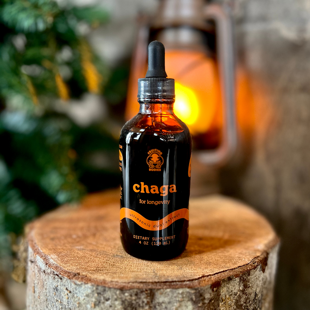 Chaga Dual Extract Tincture