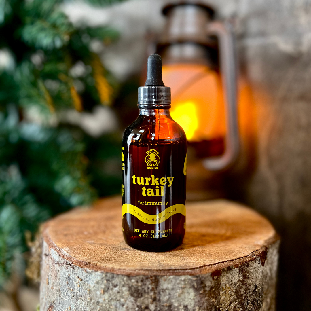 Turkey Tail Dual Extract Tincture