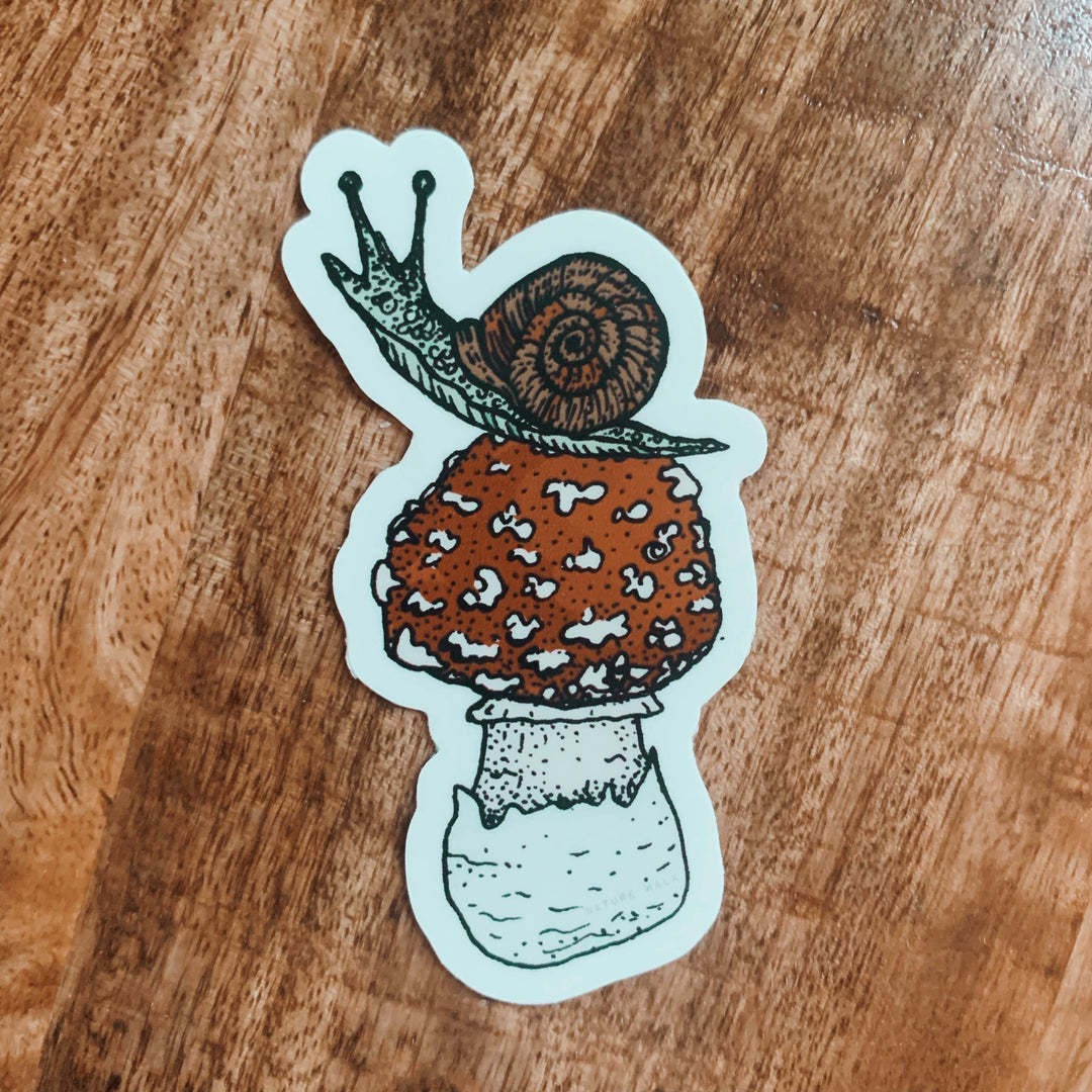 Snail Amanita Mushrooms Decal