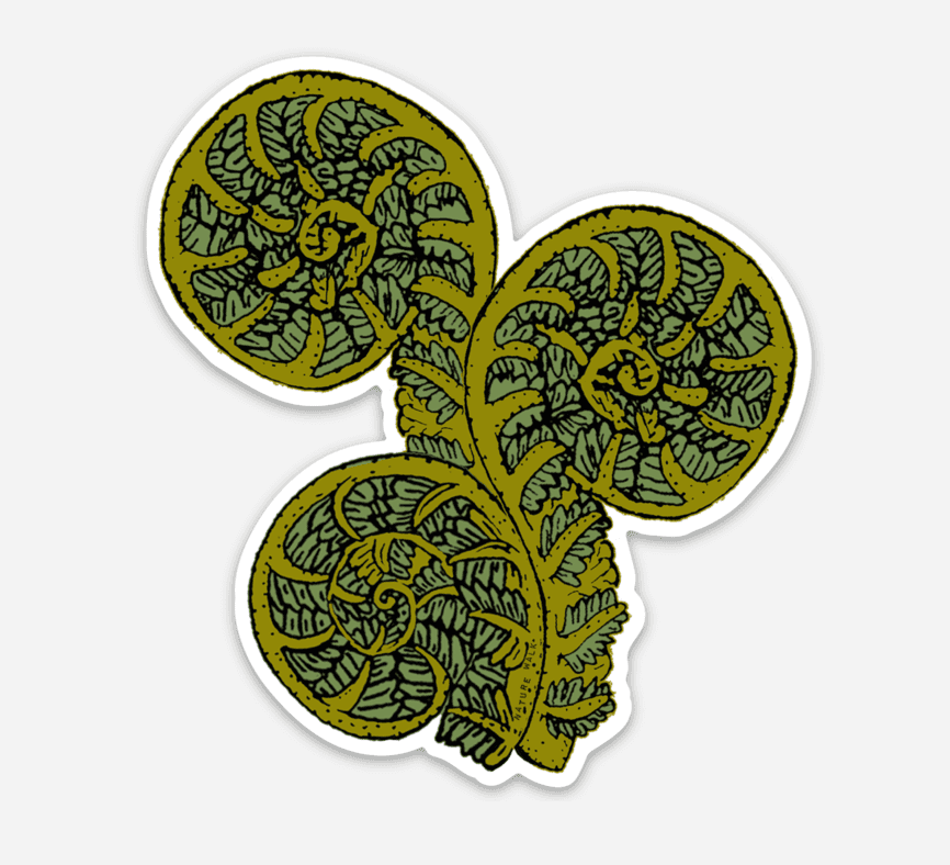 Fiddlehead Fern Waterproof Decal