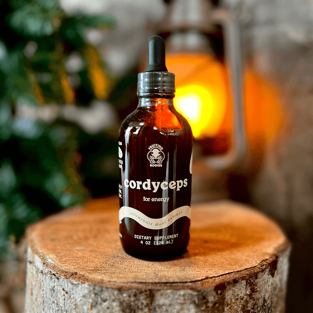 Cordyceps Dual Extract Tincture