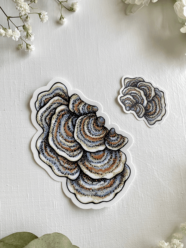 Turkey Tail Mushroom Sticker