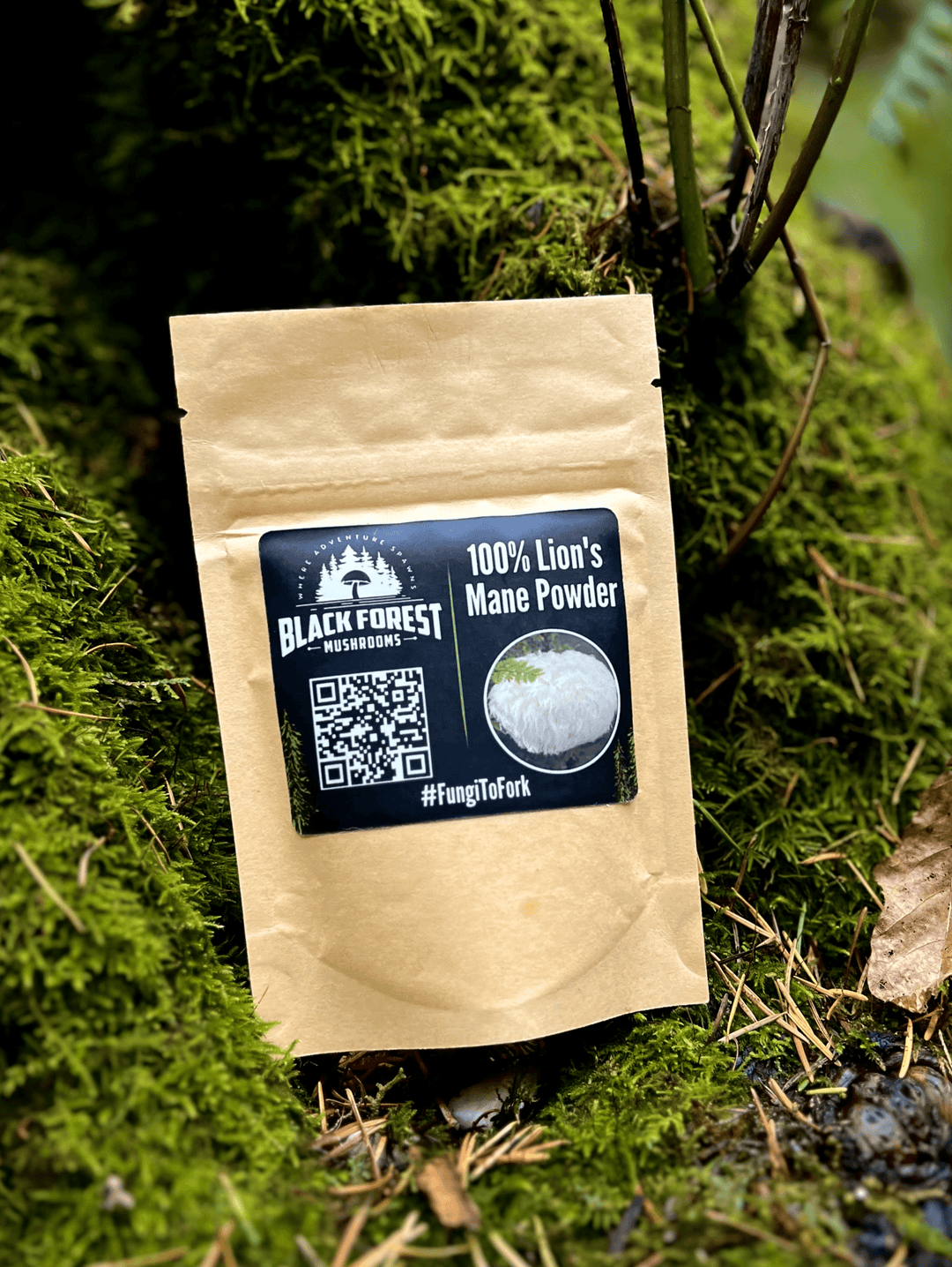 Lion's Mane powder packet on mossy background