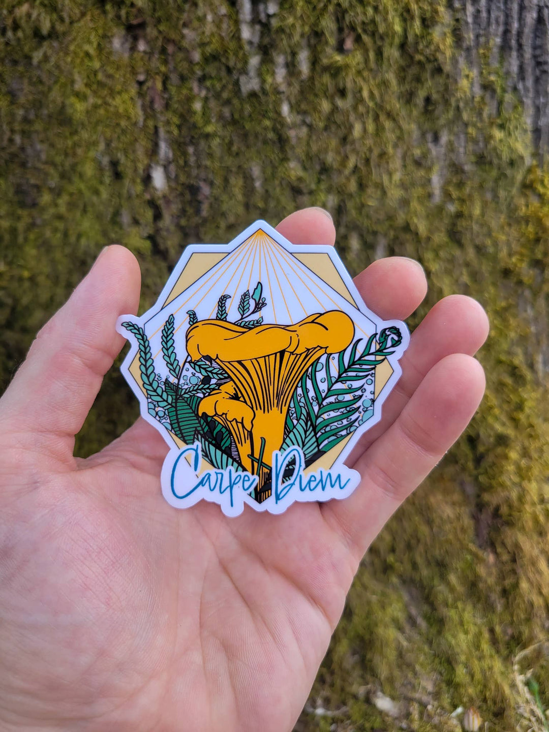 Carpe Diem Chanterelle | Cute Mushroom Sticker: Clear Laminate