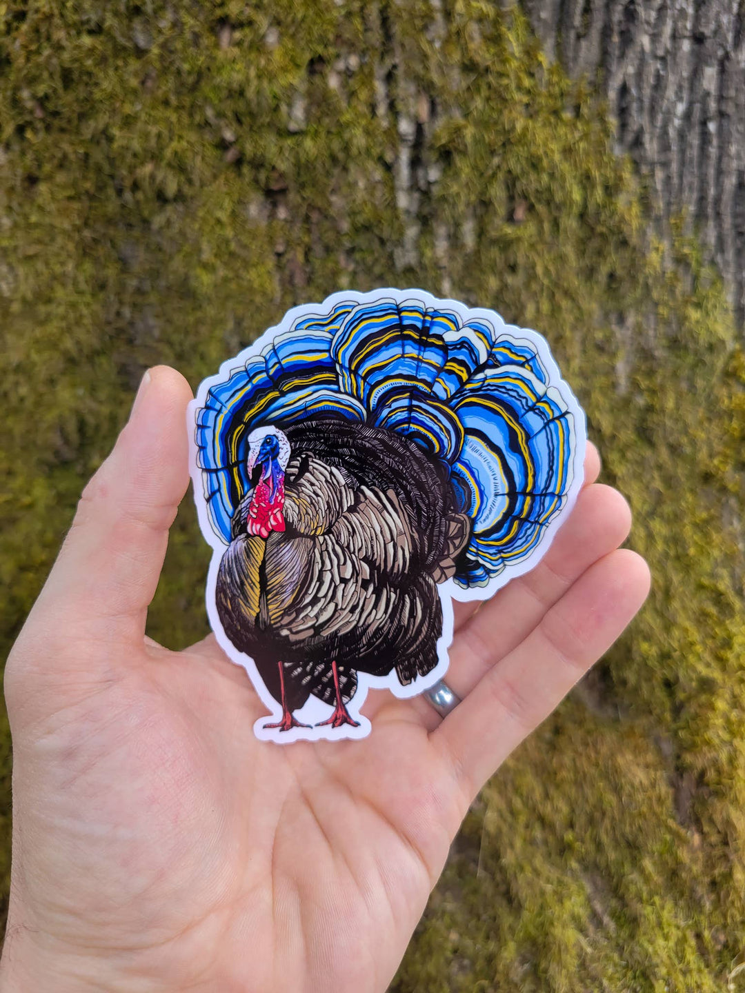 Turkey Tail | Funny Mushroom Sticker: Holographic Laminate