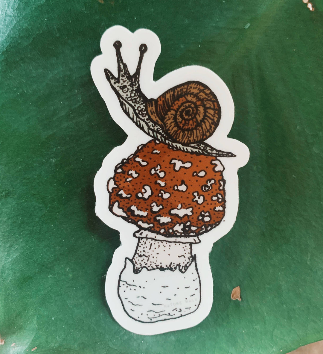 Snail Amanita Mushrooms Decal