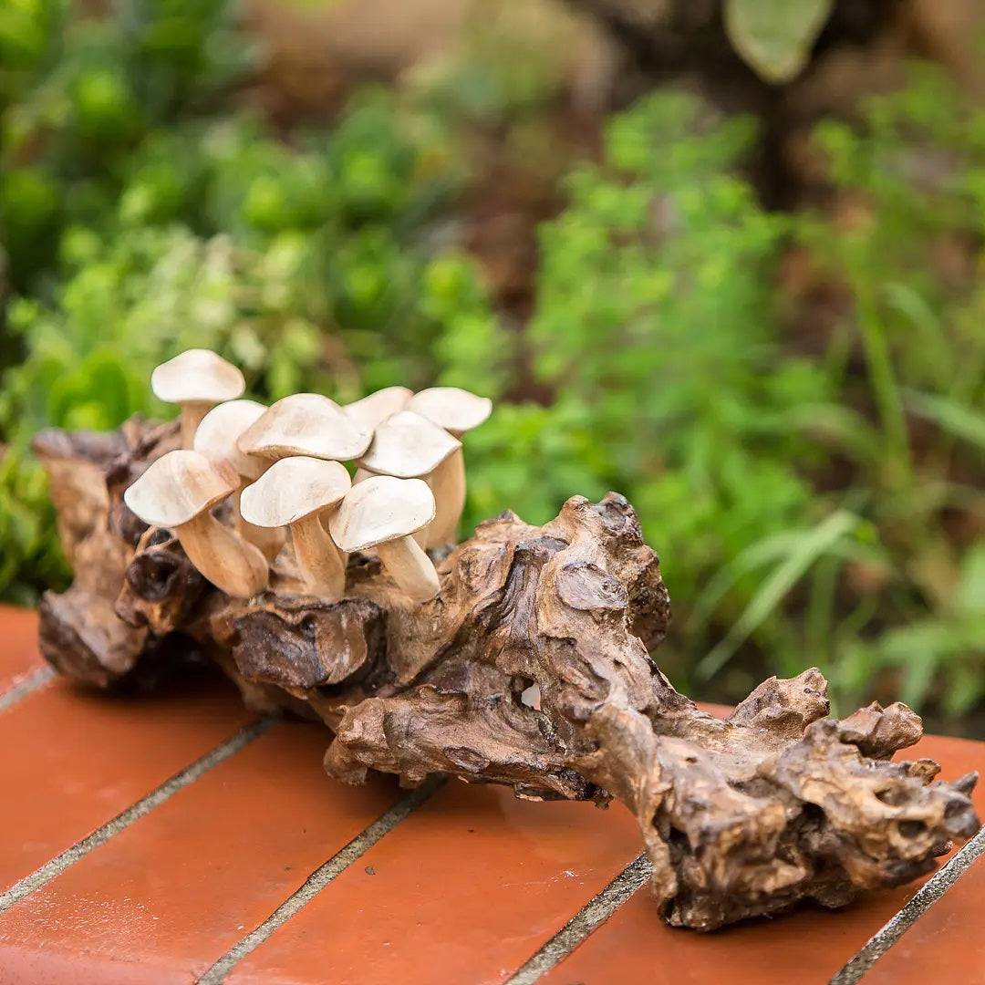 Hand Carved Mushroom Log