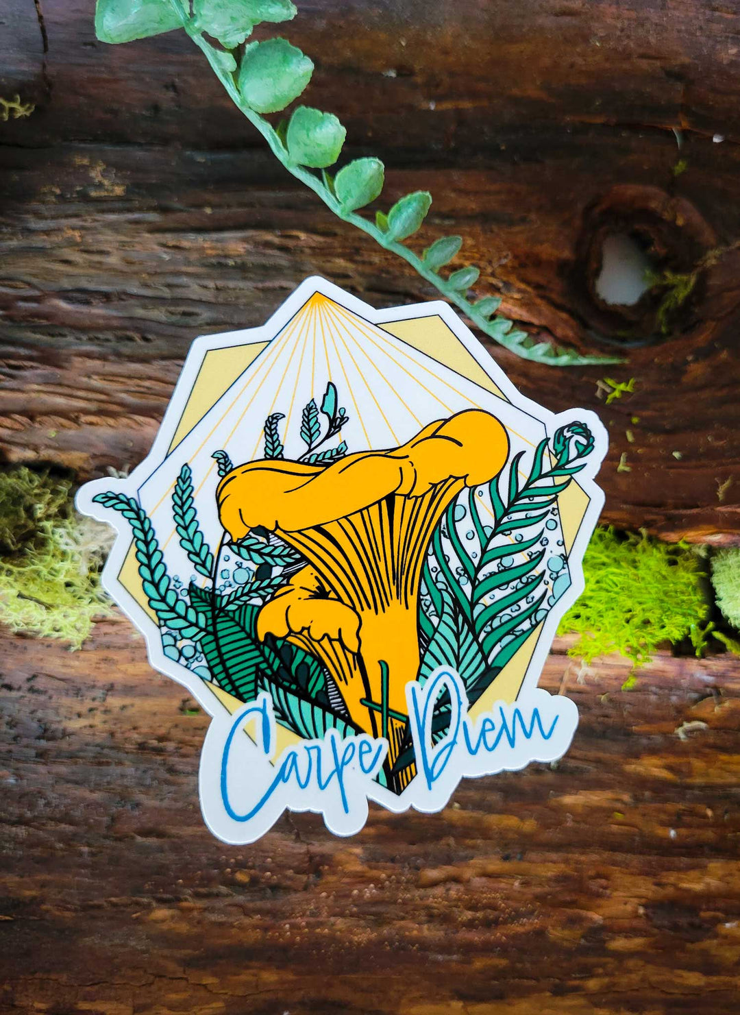 Carpe Diem Chanterelle | Cute Mushroom Sticker: Clear Laminate